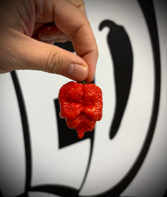Carolina Reaper - FĂ€rsk (10g)
